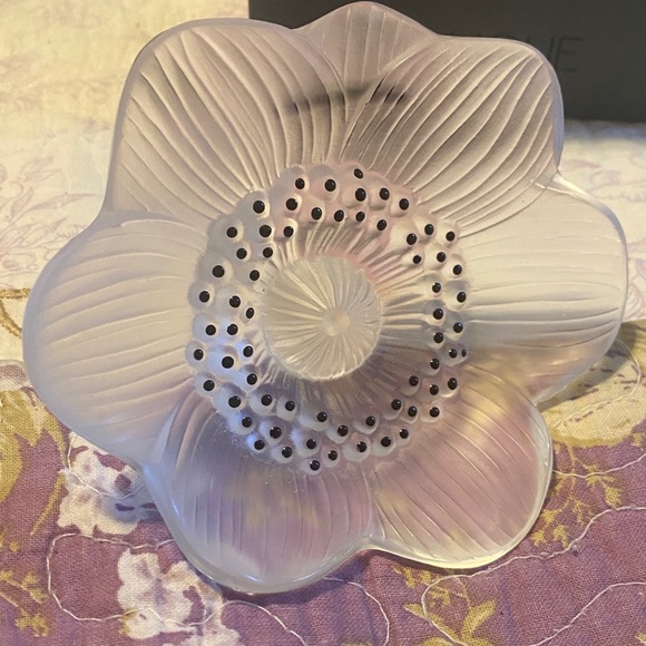 LALIQUE CLEAR FROSTED ANEMONE